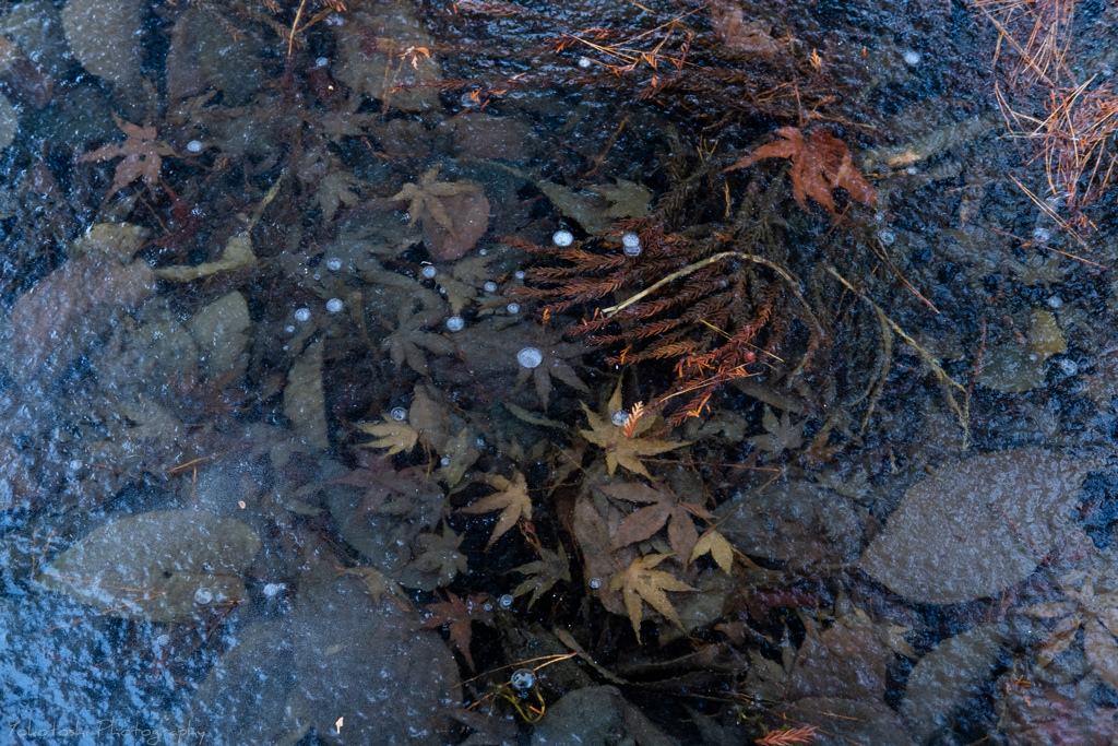 氷結