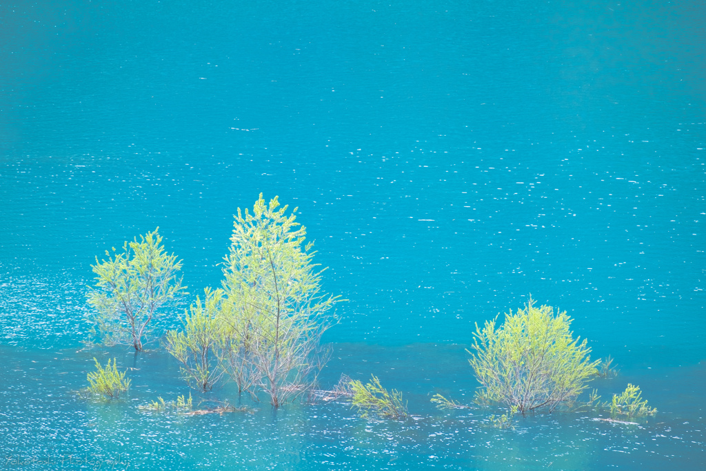 turquoise blue