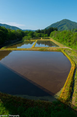 田と水鏡