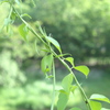 行き着く先は