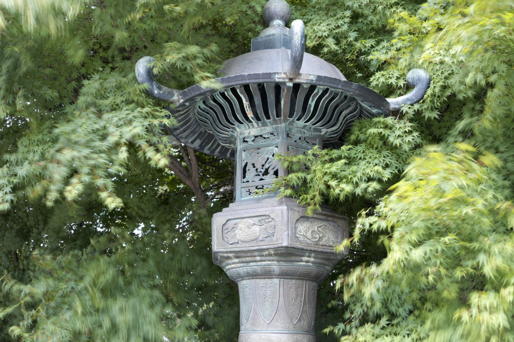 風