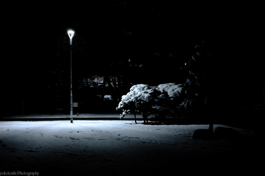 quiet  --- maybe -3℃