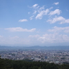展望台からの眺め