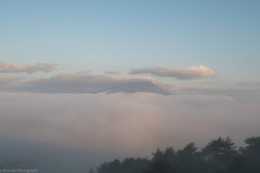 もふもふの雲海