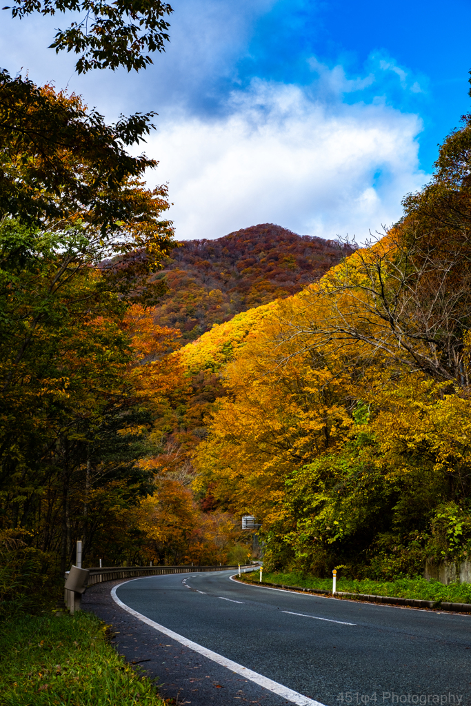 紅葉真っ盛り