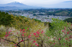 Ｍｔ．Ｉｗａｔｅ