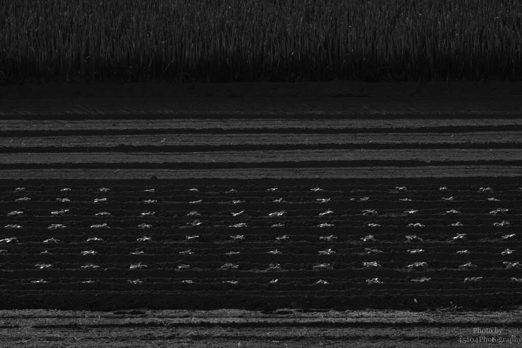 horizontal and perpendicular