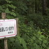 ガクガク・ブルブル？
