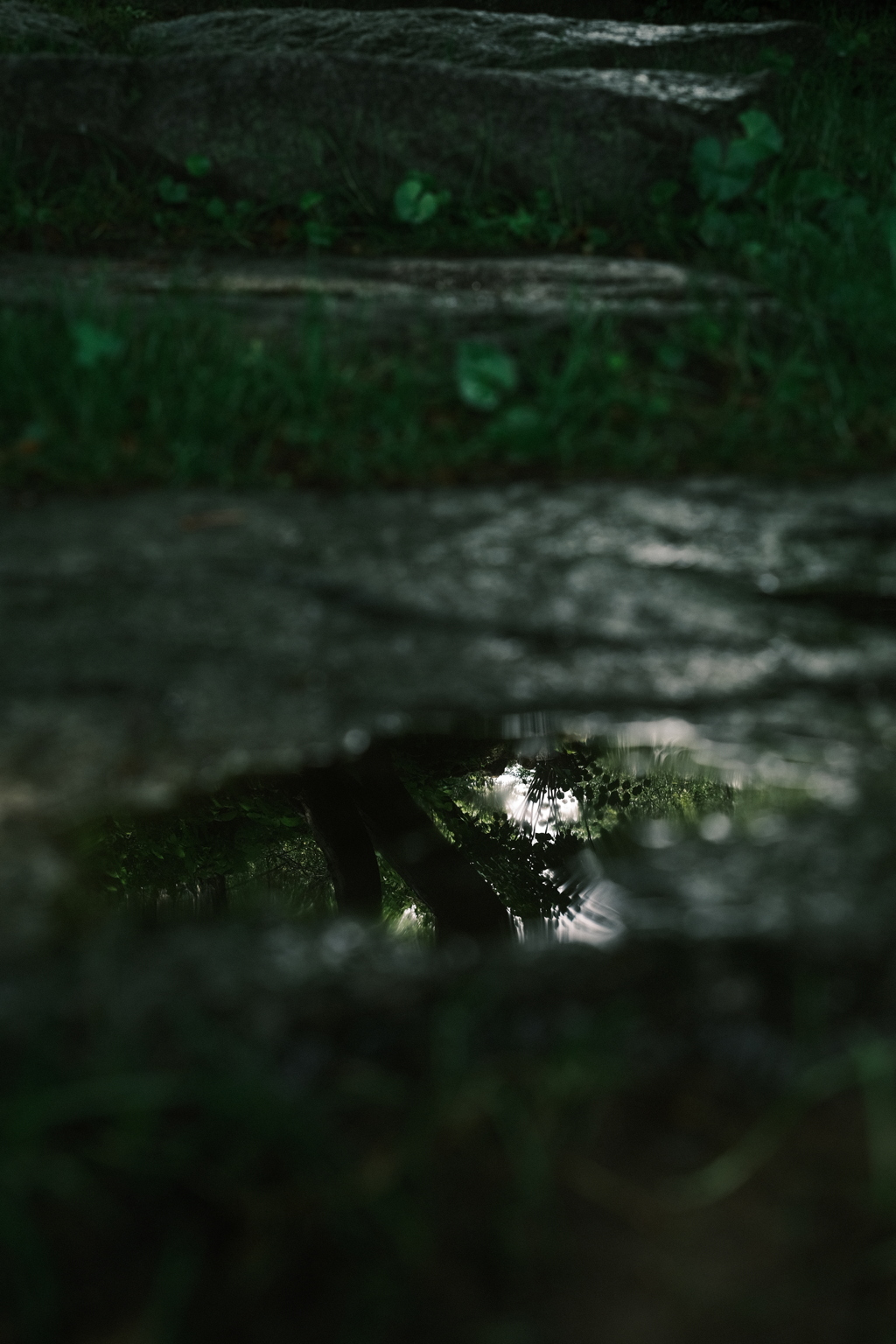 雨の跡
