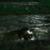 雨の跡