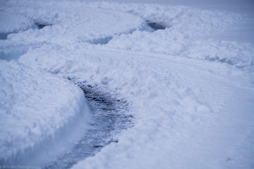 今シーズン初、雪上走行。