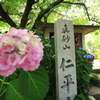 DPP_2997
