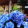 DPP_2996
