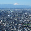 都庁から見た富士山
