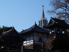 寺院と教会の見える風景