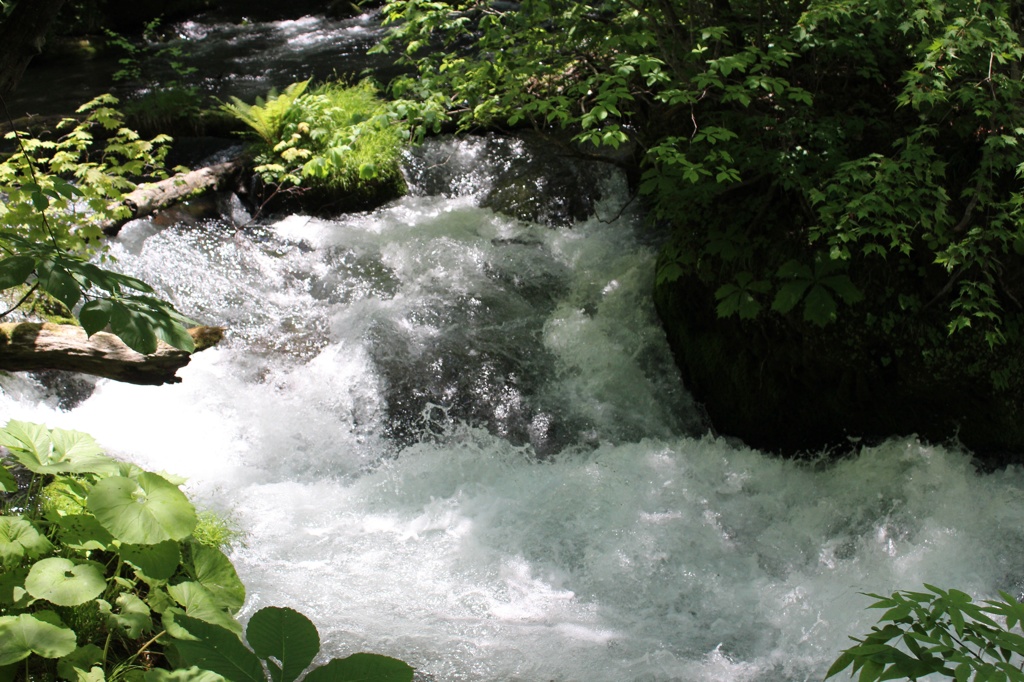 奥入瀬渓流
