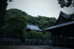 静