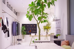 Fresh verdure