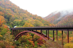 秋色橋梁