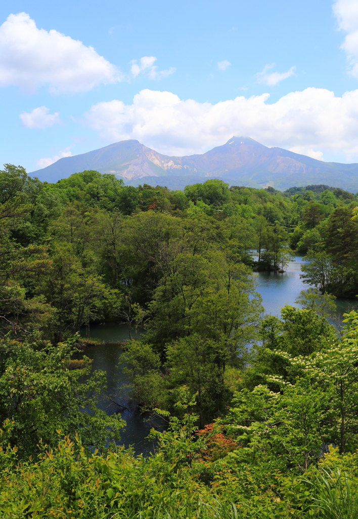 中瀬沼と磐梯山