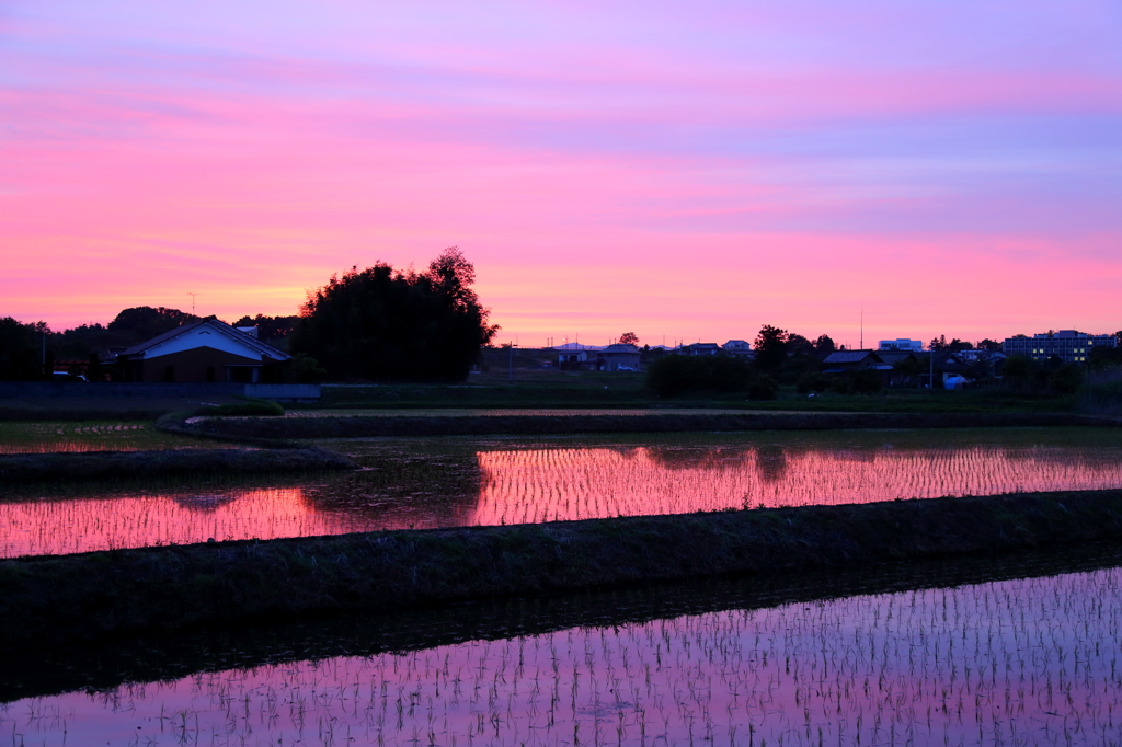 懐旧の夕焼け