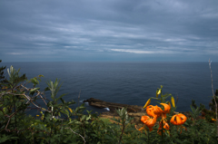 百合と海