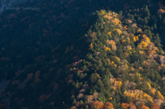 秋の山　陰影1