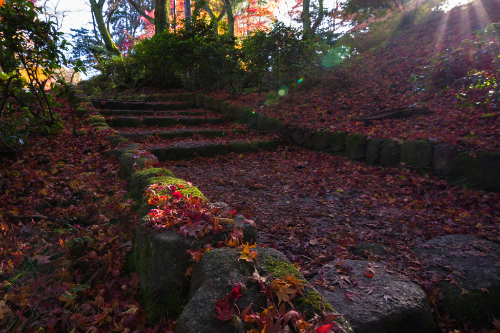 古城公園