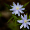 IMGP0878