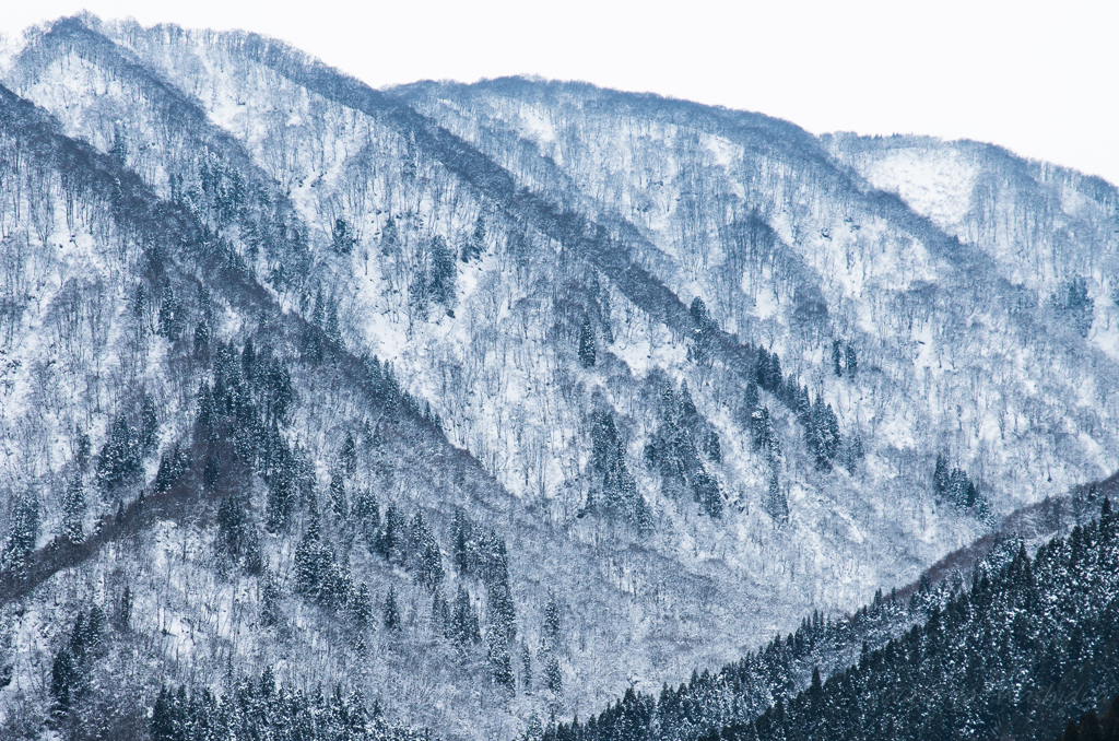 雪景１