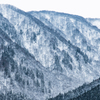 雪景１