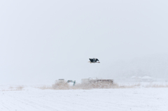 雪景色