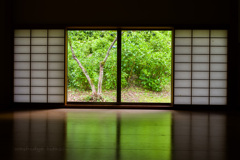 紫陽庵