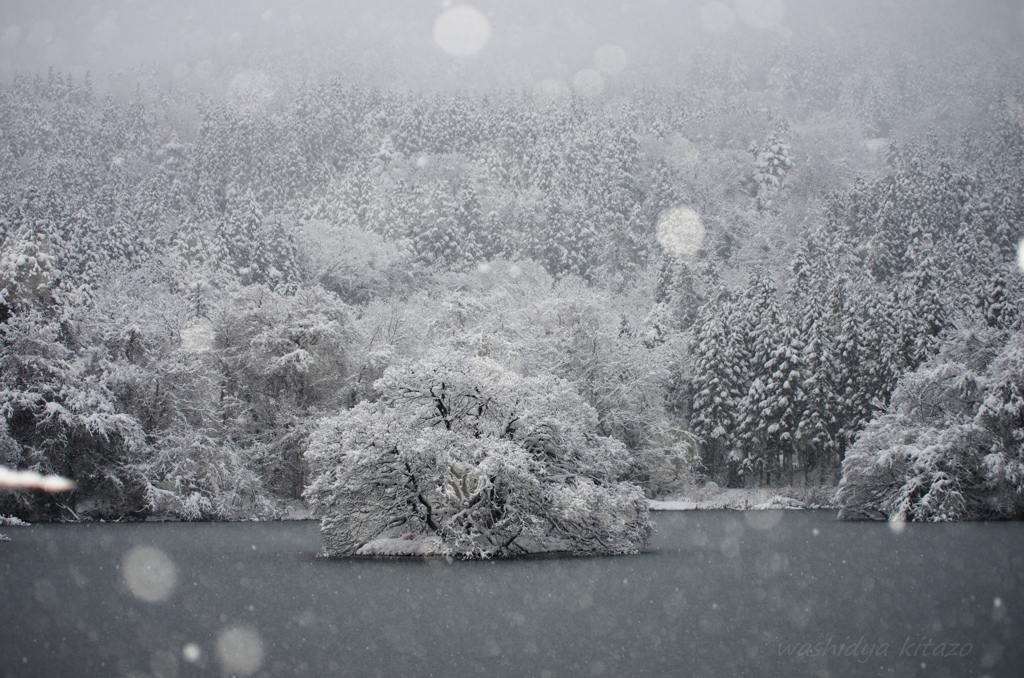雪の国