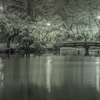 冬景色