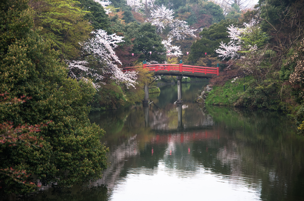 桜のある風景　3