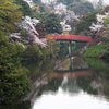 桜のある風景　3