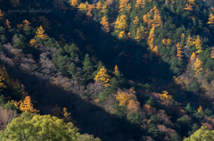 秋の山　陰影3