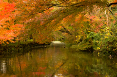 古城公園