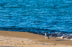 Did you have a good day?