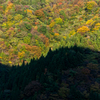 山の影