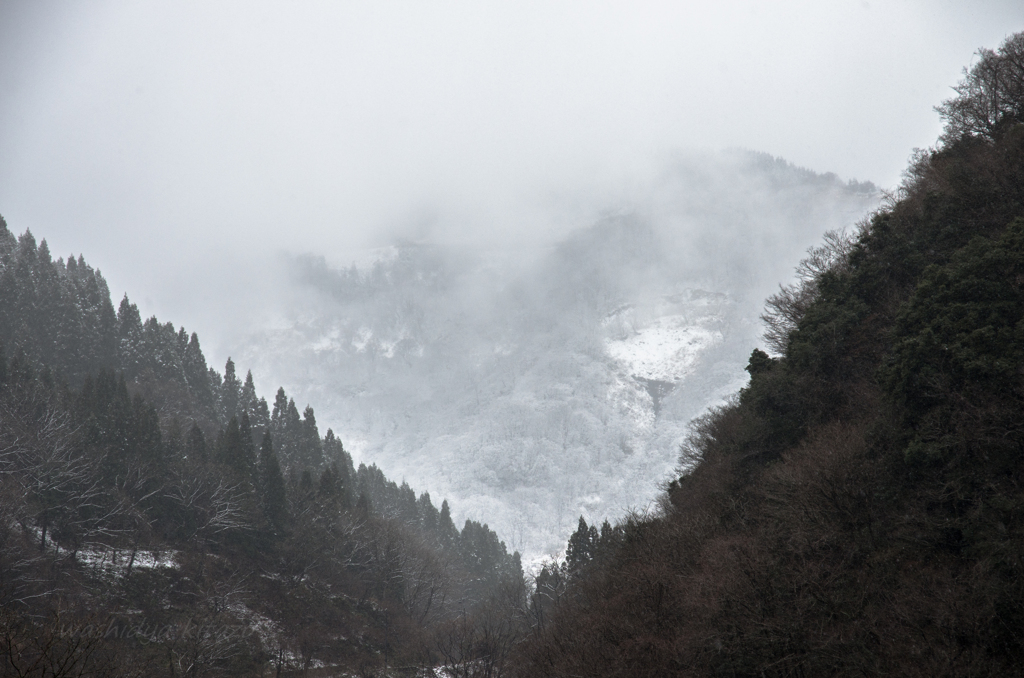 雪の世界へ