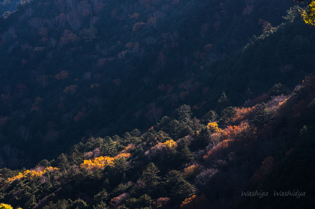 秋の山　陰影2