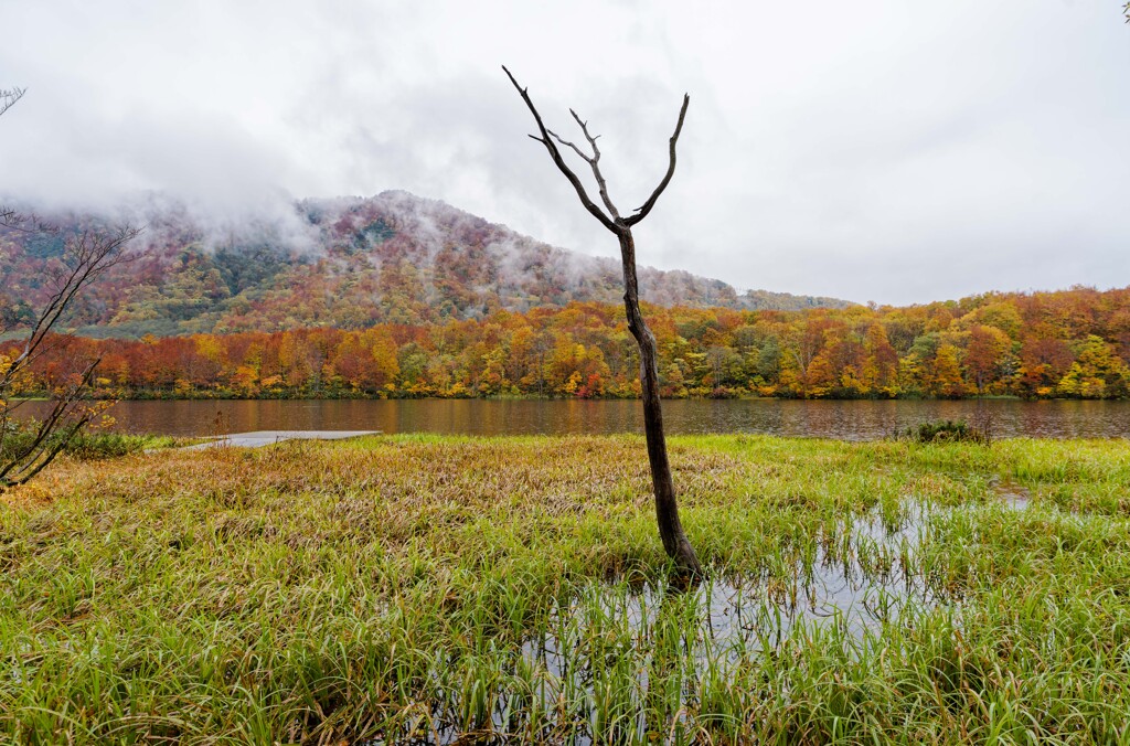 たどり着いたらいつも雨降り