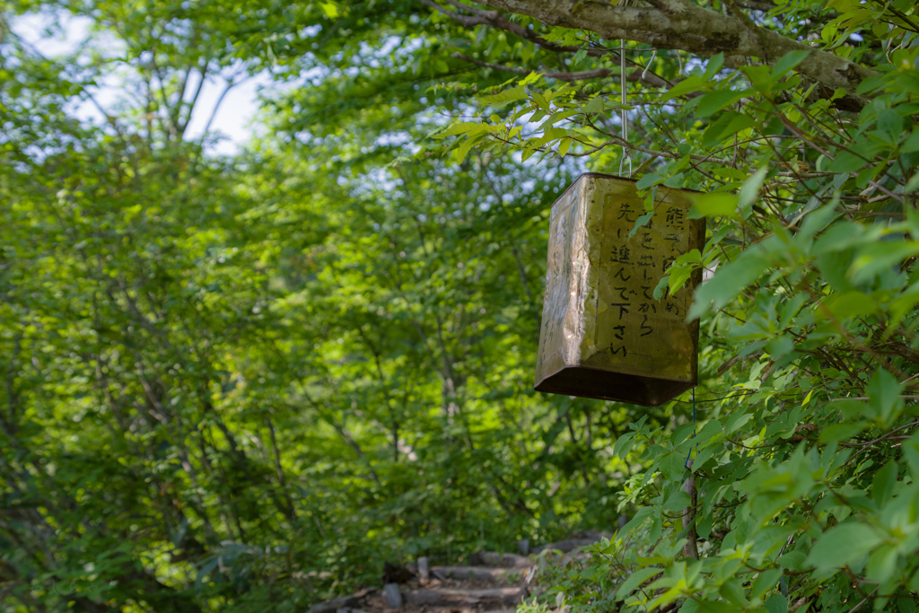 登山道