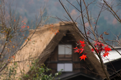 秋の白川郷