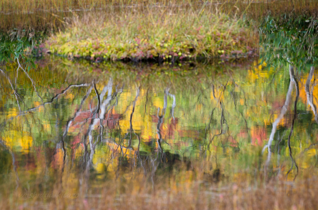 湿原の秋