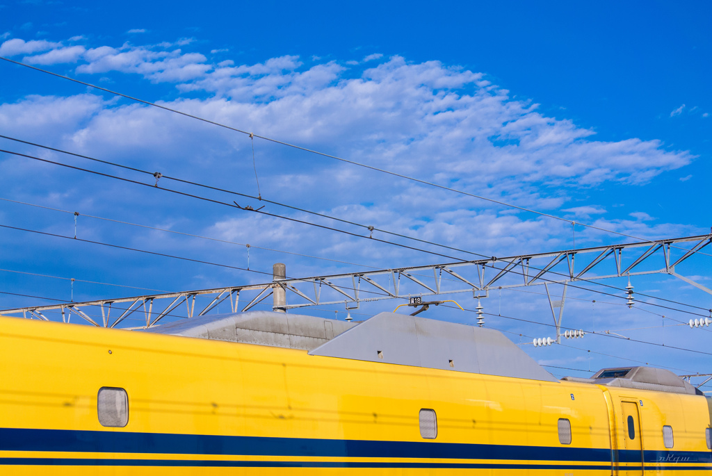SKY & YELLOW
