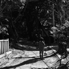 公園を目指して