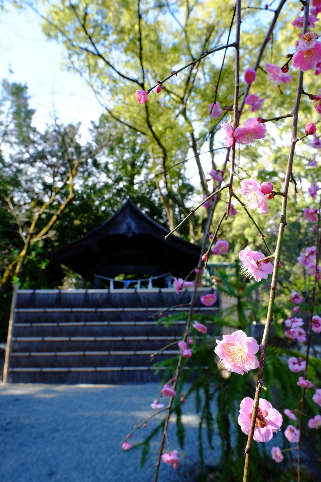 @報徳二宮神社